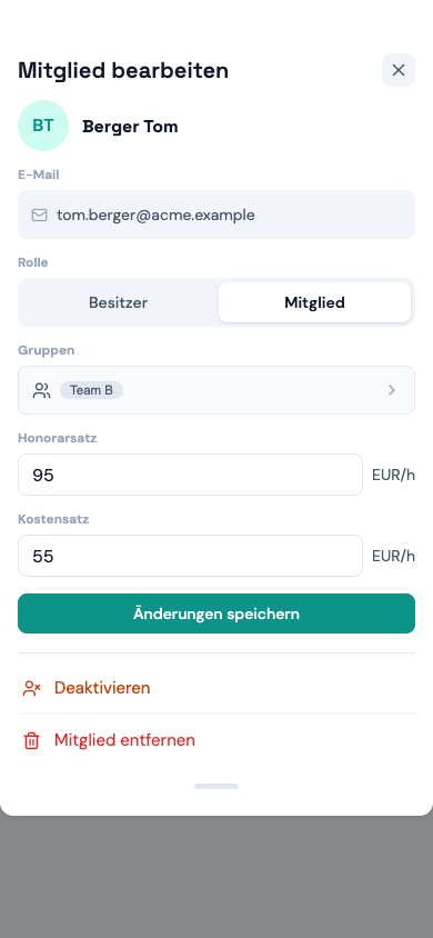 Team-Seite mit den Spalten Honorarsatz und Kostensatz (Mobil)